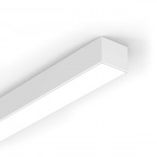 P100 Luminaire