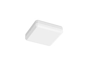 Petridis Square Light