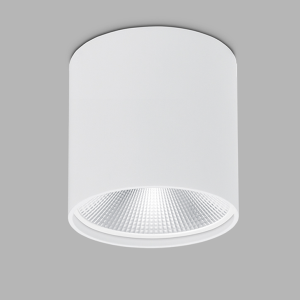 Spin 230 Surface Mounted Can Type Light