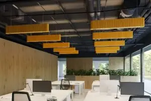 Mount Lighting Acoustic Light Pendant